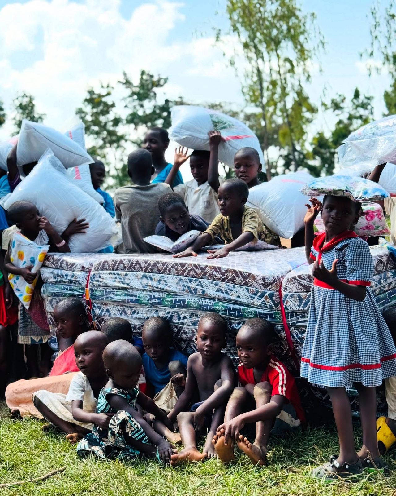 Bedding Distribution